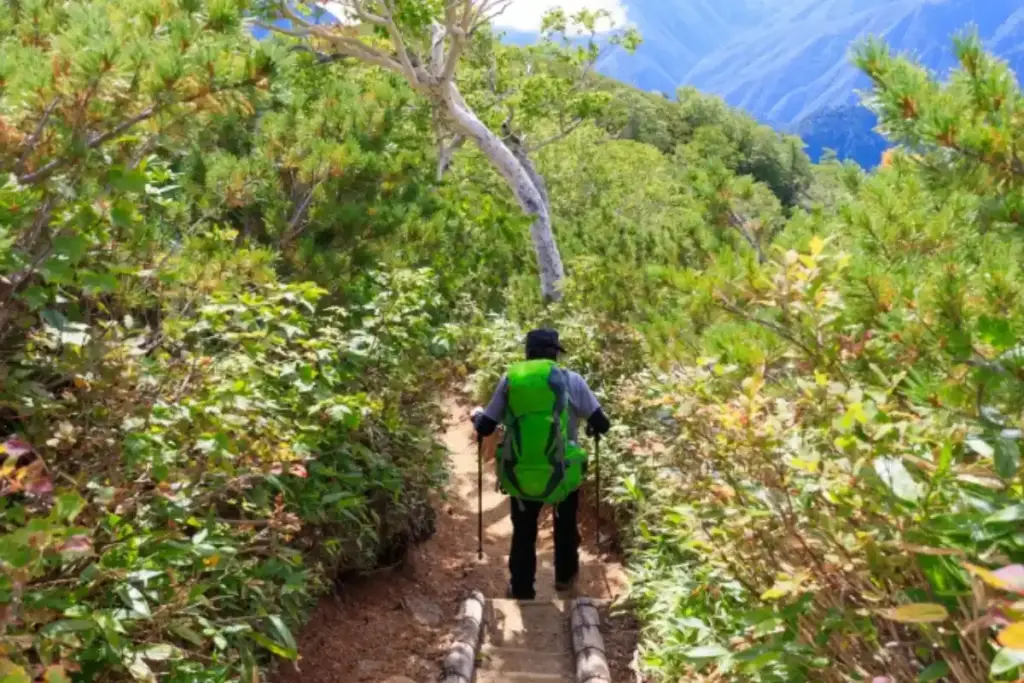 一人で登山する中高年の女性