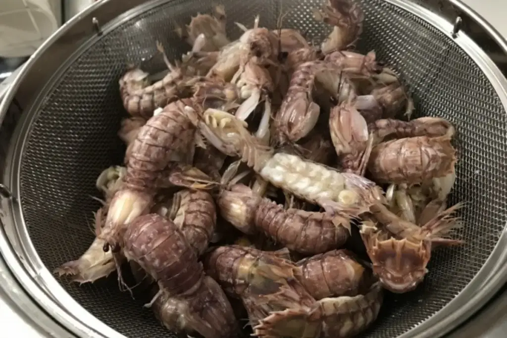 茹で上がったシャコ