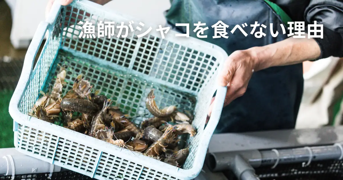 漁師がシャコを食べない理由